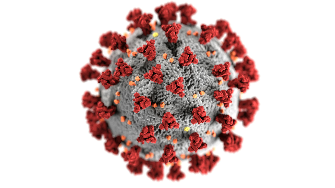 El HMPV pertenece a la familia de los paramixovirus, un grupo de virus responsables de diversas enfermedades respiratorias.