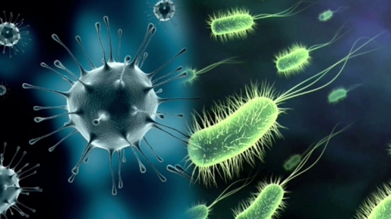 La Ceftriaxona es una herramienta poderosa en la lucha contra las infecciones bacterianas.