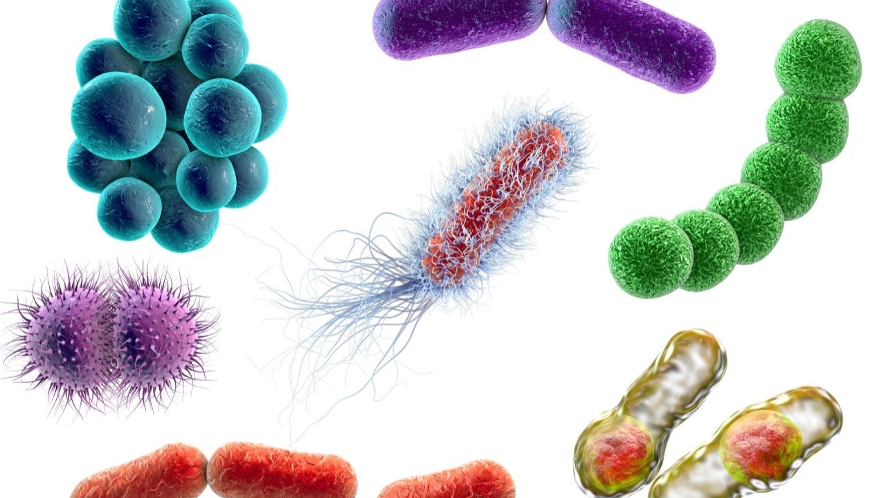 Los antibióticos son medicamentos diseñados para combatir infecciones causadas por bacterias.