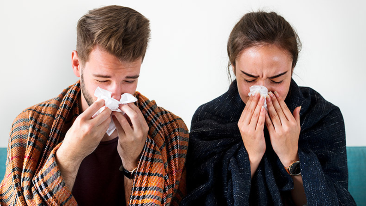Si estás estornudando sin parar y no es temporada de gripe, podrías estar ante una alergia estacional o al polvo.