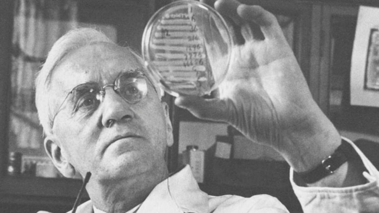 Desde su descubrimiento por Alexander Fleming, la penicilina ha revolucionado la medicina.