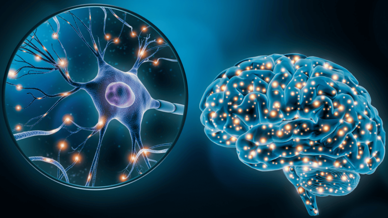Los antidepresivos son medicamentos diseñados para equilibrar los niveles de neurotransmisores en el cerebro.