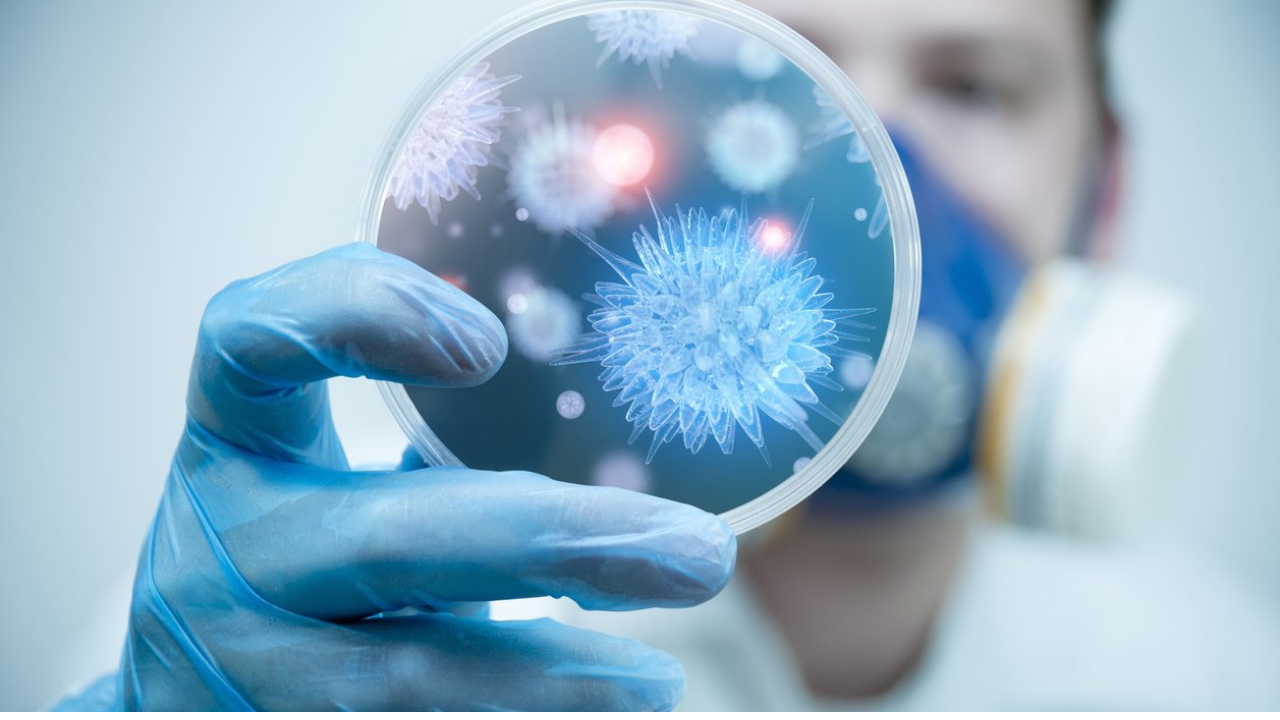 ¿Antibióticos o antivirales? Conoce las diferencias