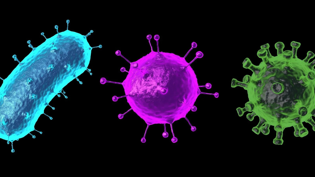 Los antivirales están formulados específicamente para actuar contra virus.