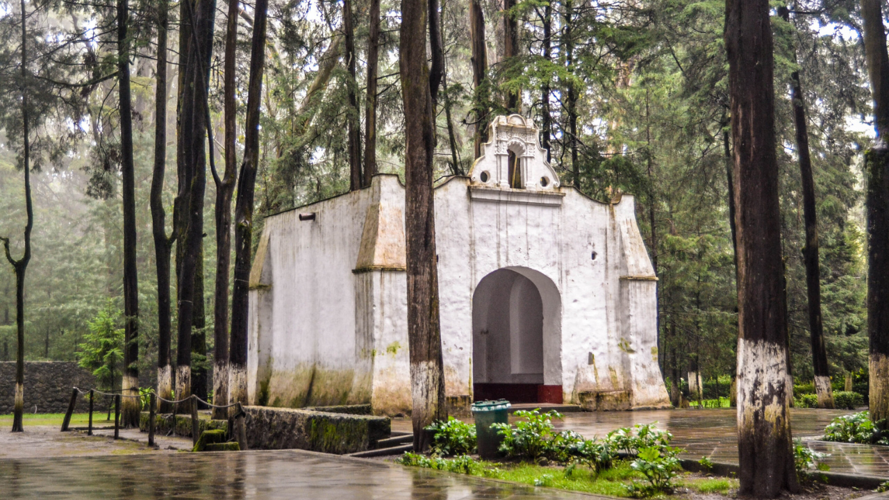 7 paisajes naturales de México que te dejarán sin aliento.
