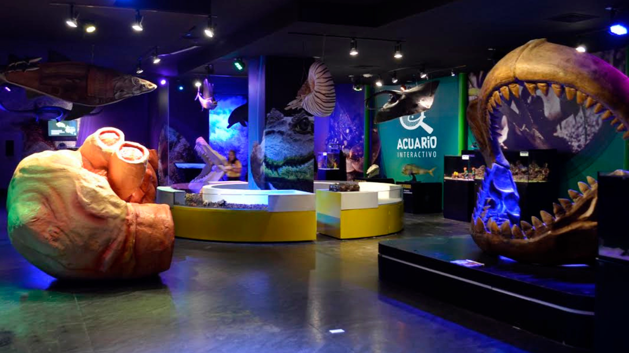 Museos imperdibles en CDMX para visitar con niños y vivir una experiencia divertida en familia.
