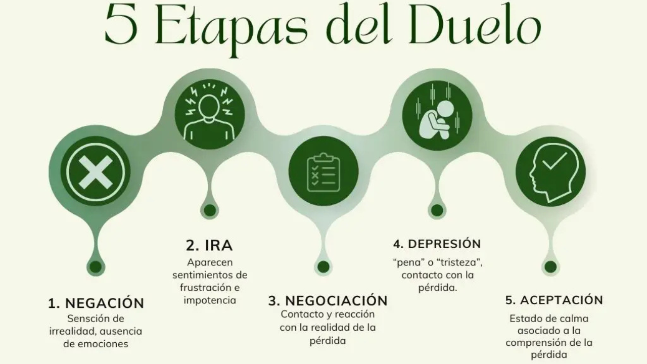 Aunque cada persona vive el duelo a su manera, existen etapas comúnmente reconocidas que permiten comprender mejor el proceso.