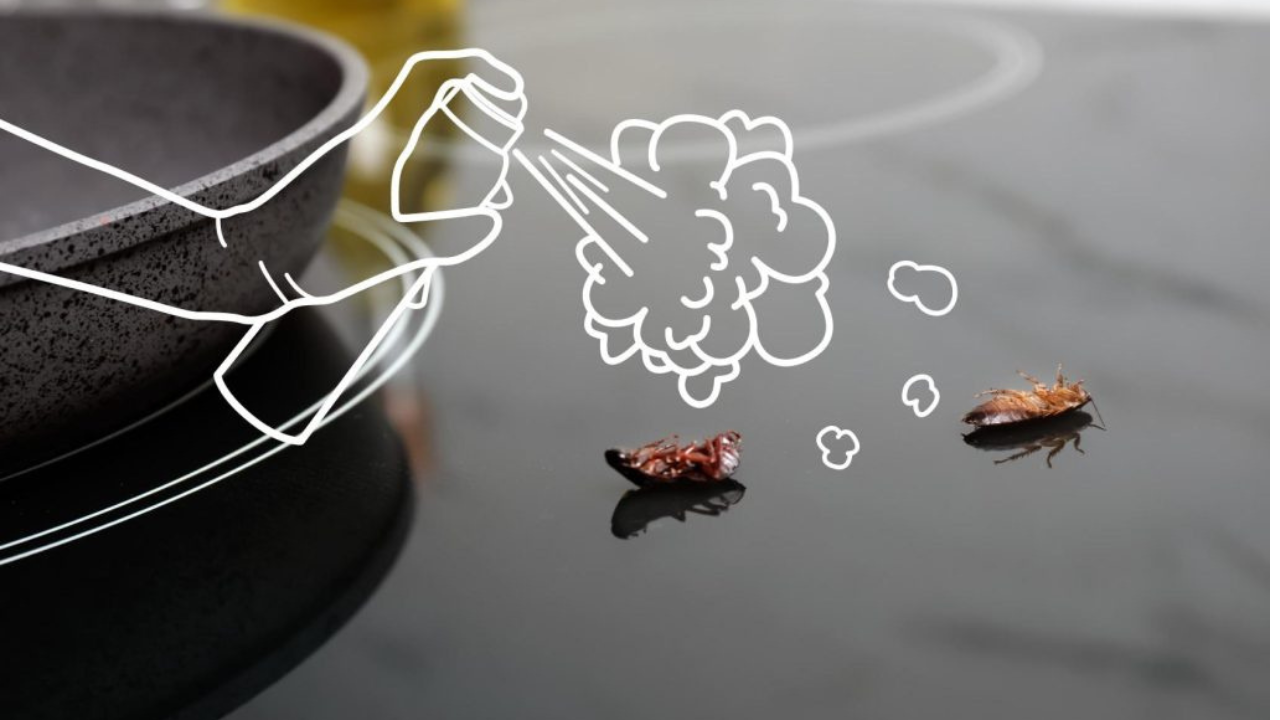 Si hace poco realizaste una fumigación profesional o aplicaste insecticida, es común encontrar cucarachas muertas durante los días posteriores.
