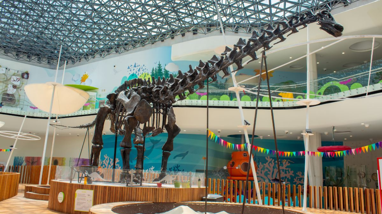 Los museos más divertidos en CDMX para una experiencia única.