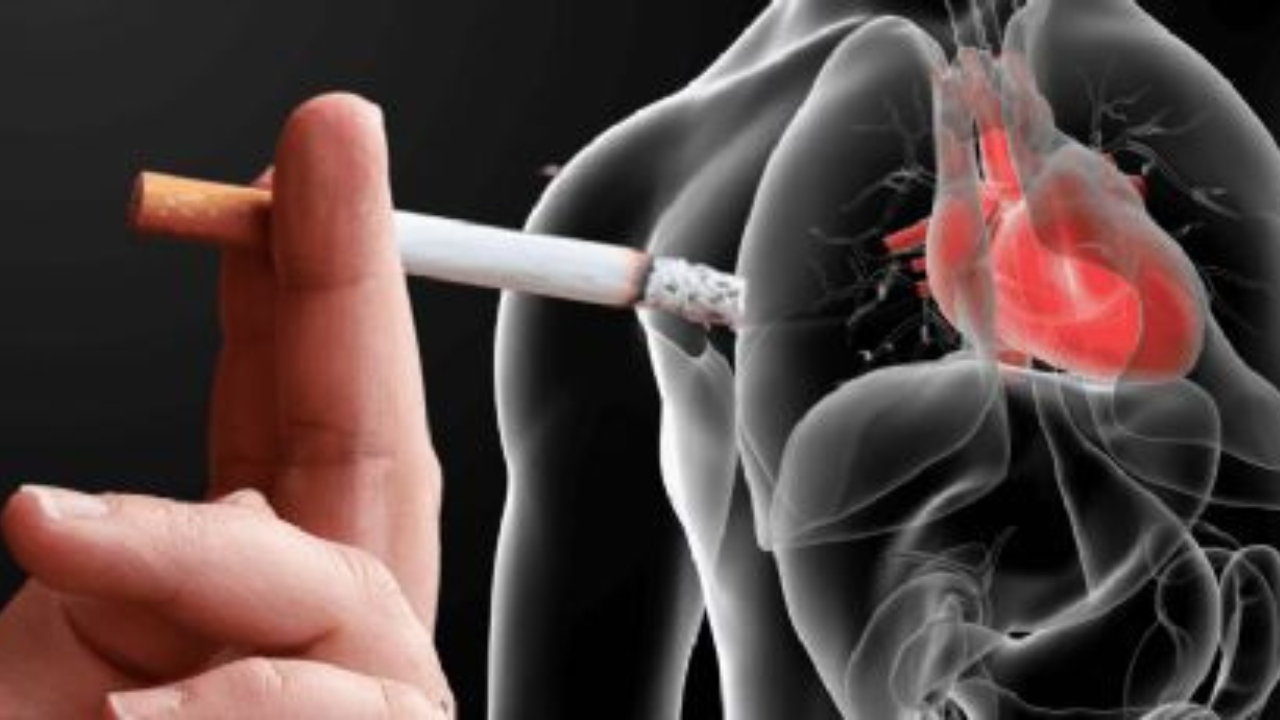 Fumar no solo daña los pulmones, también afecta el corazón y los vasos sanguíneos. Entre los riesgos más importantes destaca el aumento de la presión arterial y la frecuencia cardíaca.