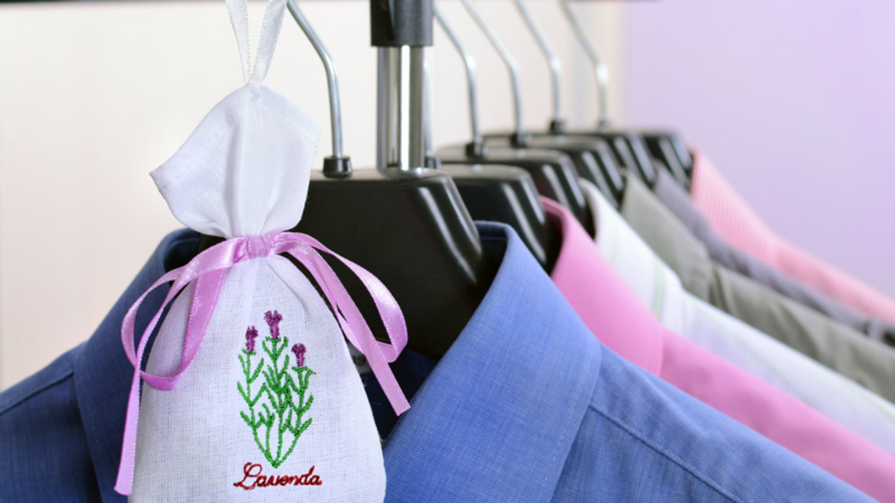 Ropa fresca todo el día: Tips infalibles para que siempre huela increíble.