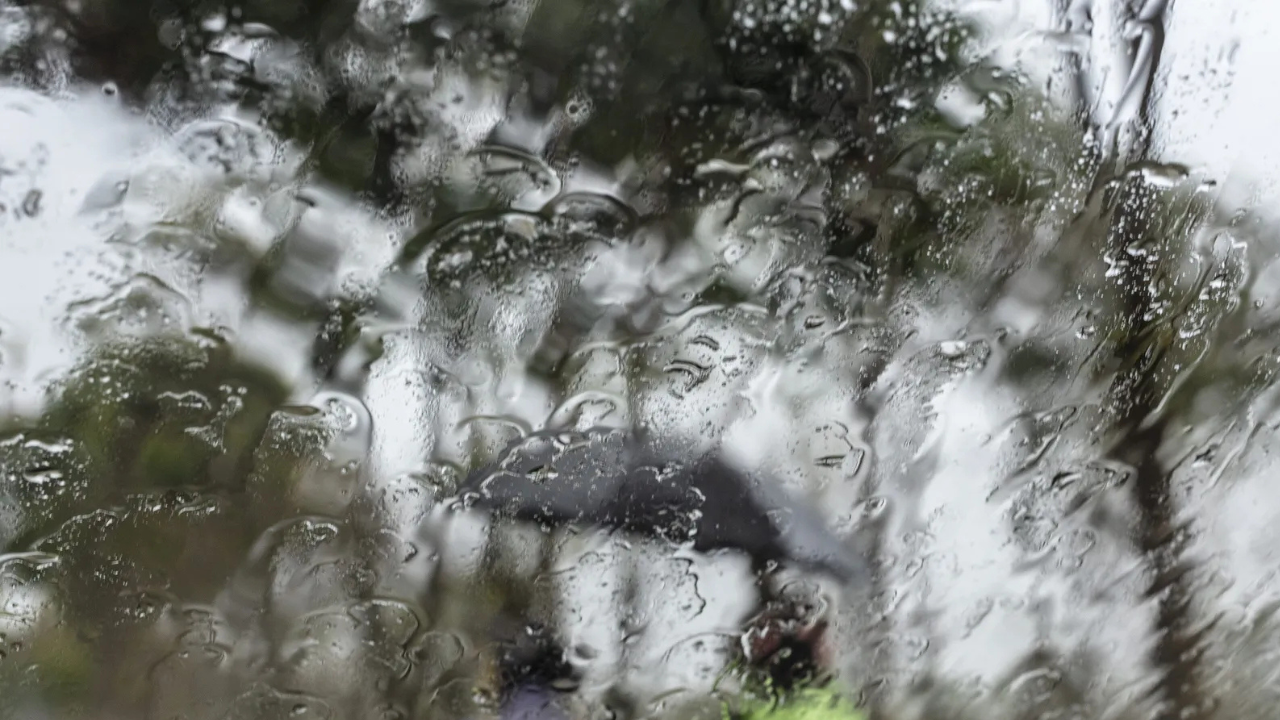 Un ejemplo común de Ruido Blanco es el murmullo de la lluvia constante.