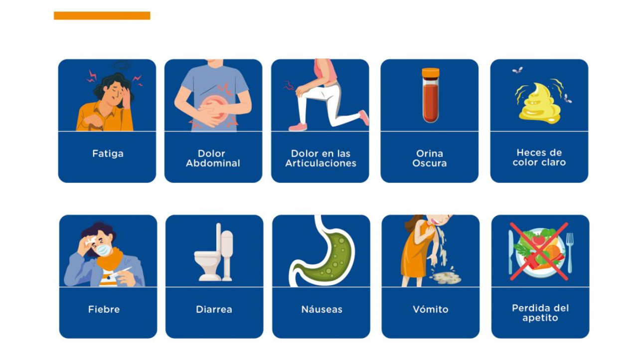 Cada tipo de hepatitis tiene su propio nivel de gravedad y diferentes sintomatologías, por lo que conocer sus diferencias es fundamental para proteger la salud.