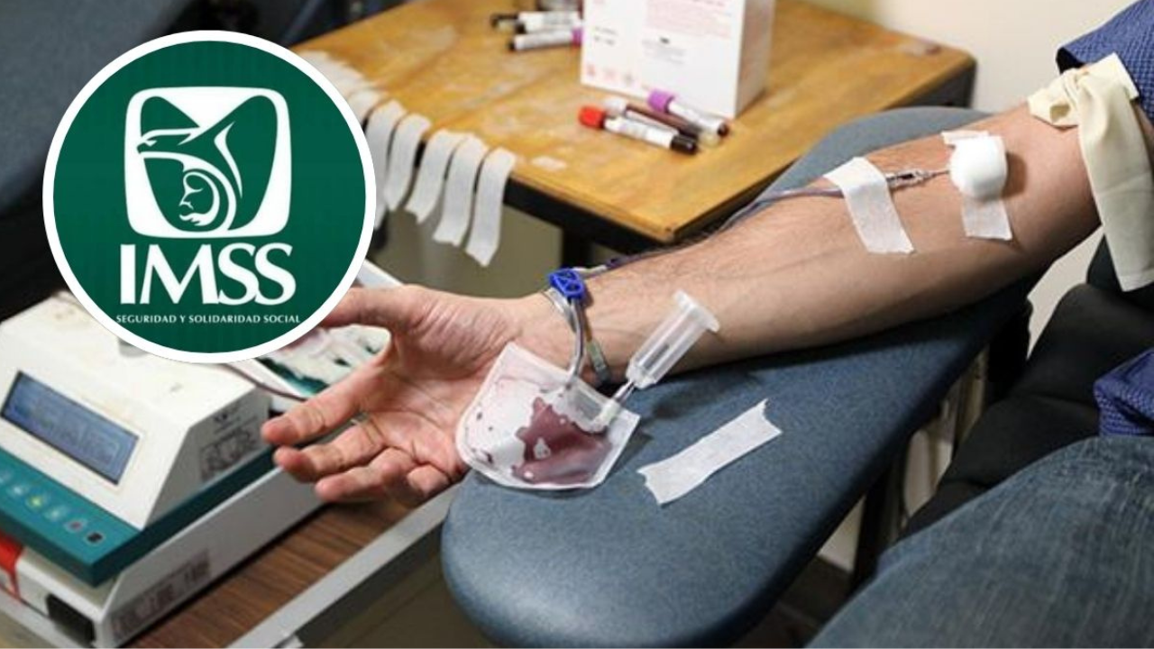 ¿Quieres donar sangre en el IMSS? Conoce los requisitos que debes cumplir.