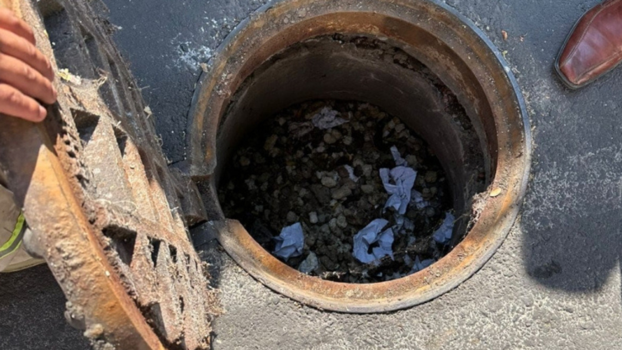 De acuerdo con datos citados por medios especializados, las bolsas con excrementos y pelos de las mascotas son responsables de hasta la mitad de las obstrucciones detectadas.