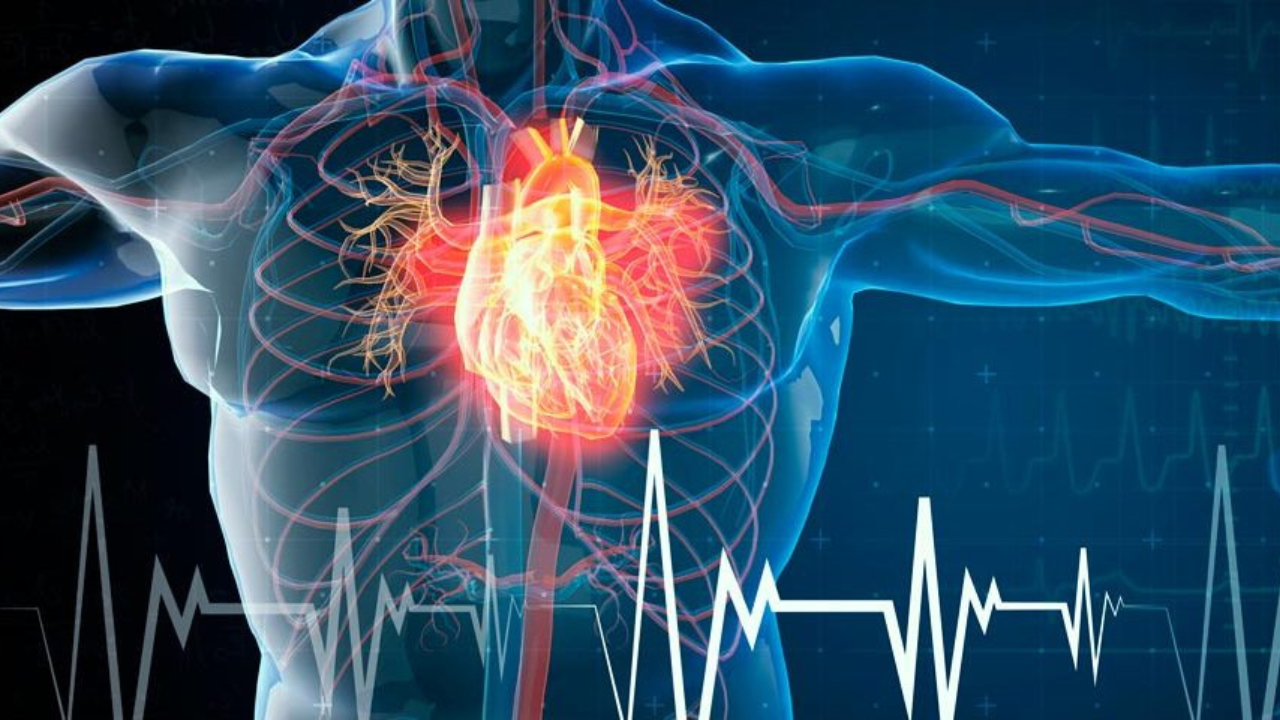 Practicar actividades como caminata rápida, natación o ciclismo tres veces a la semana ayuda a fortalecer el músculo cardíaco, reducir la presión arterial y mejorar la circulación sanguínea.