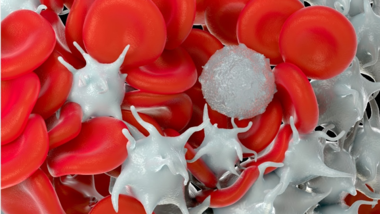 Donar sangre vs donar plaquetas: ¿Cuál es la diferencia y por qué es importante saberlo?