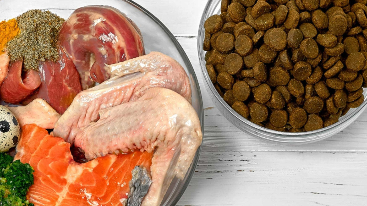 Asegúrate de que la comida incluya ingredientes de calidad que favorezcan la salud de la piel y el pelo.