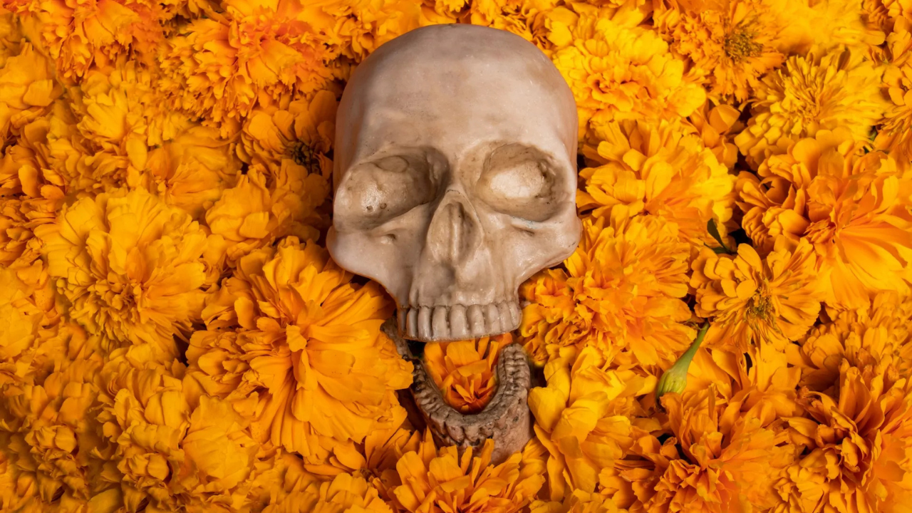 “Descubre por qué la flor de cempasúchil guía a las almas: su poderoso simbolismo en el Día de Muertos”