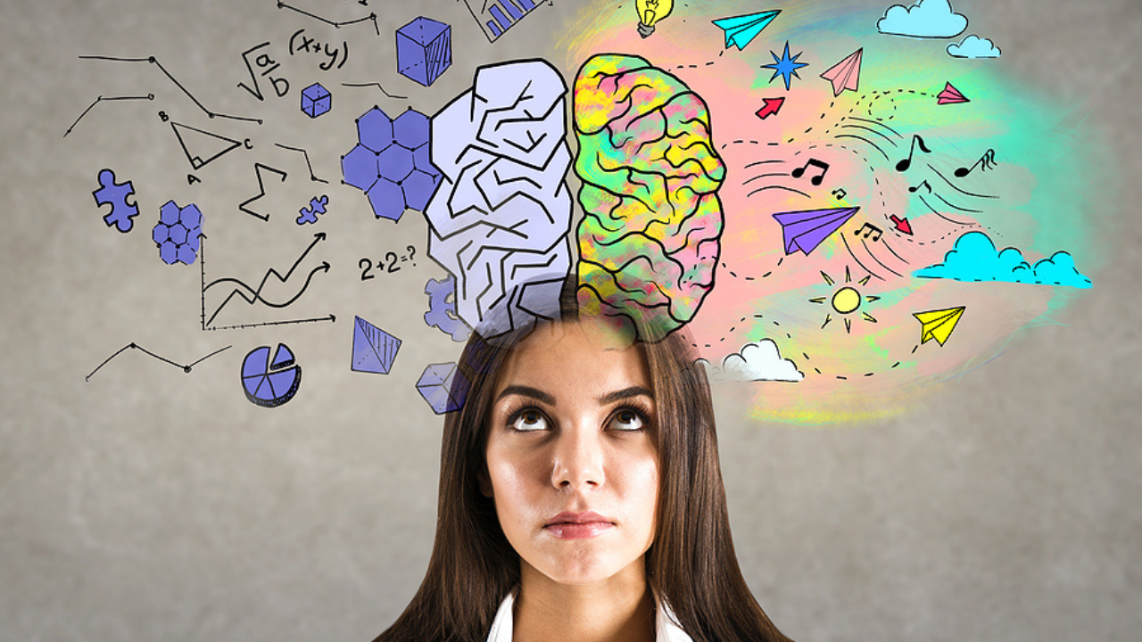 Una investigación de la Universidad de Loughborough encontró que los participantes que realizaron una "coffee nap" cometieron menos errores en un simulador de conducción.