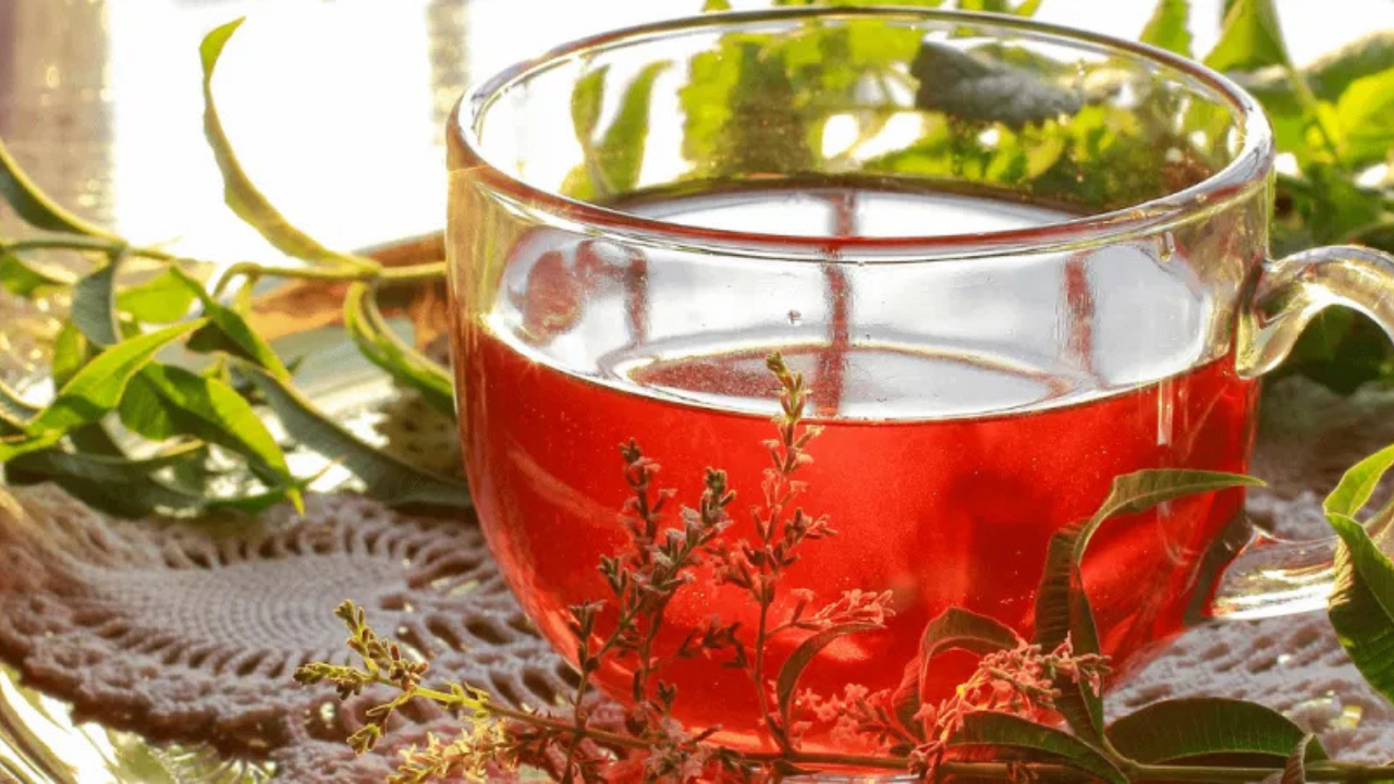 Relájate Ahora: 5 Infusiones Naturales que Ayudan a Calmar la Ansiedad