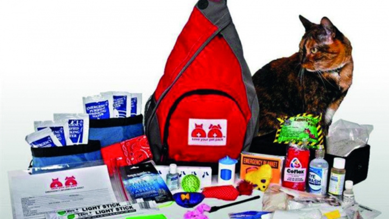 Al igual que con cualquier integrante de la familia, tus mascotas necesitan su propio kit de emergencia, debe incluir alimento seco o enlatado, cartilla de vacunación y medicamentos.