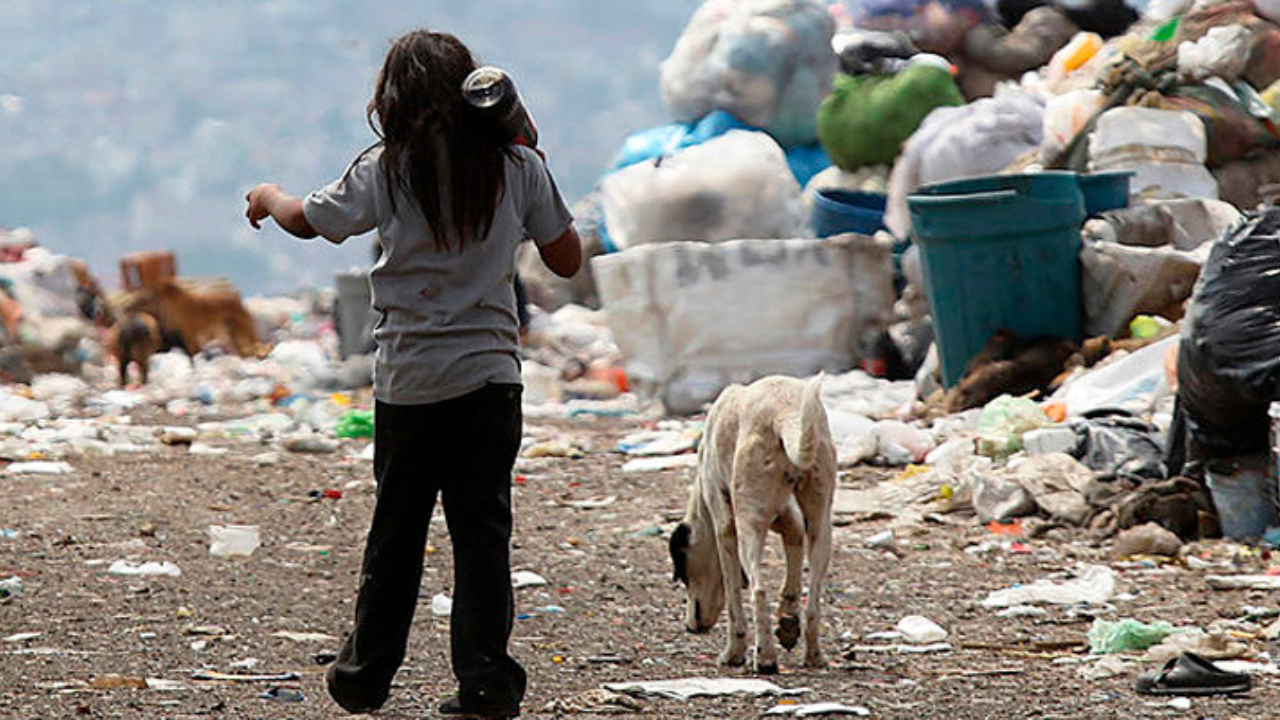 ¿Sabías que 3 de cada 10 mexicanos están en pobreza en 2025? Claves y cifras