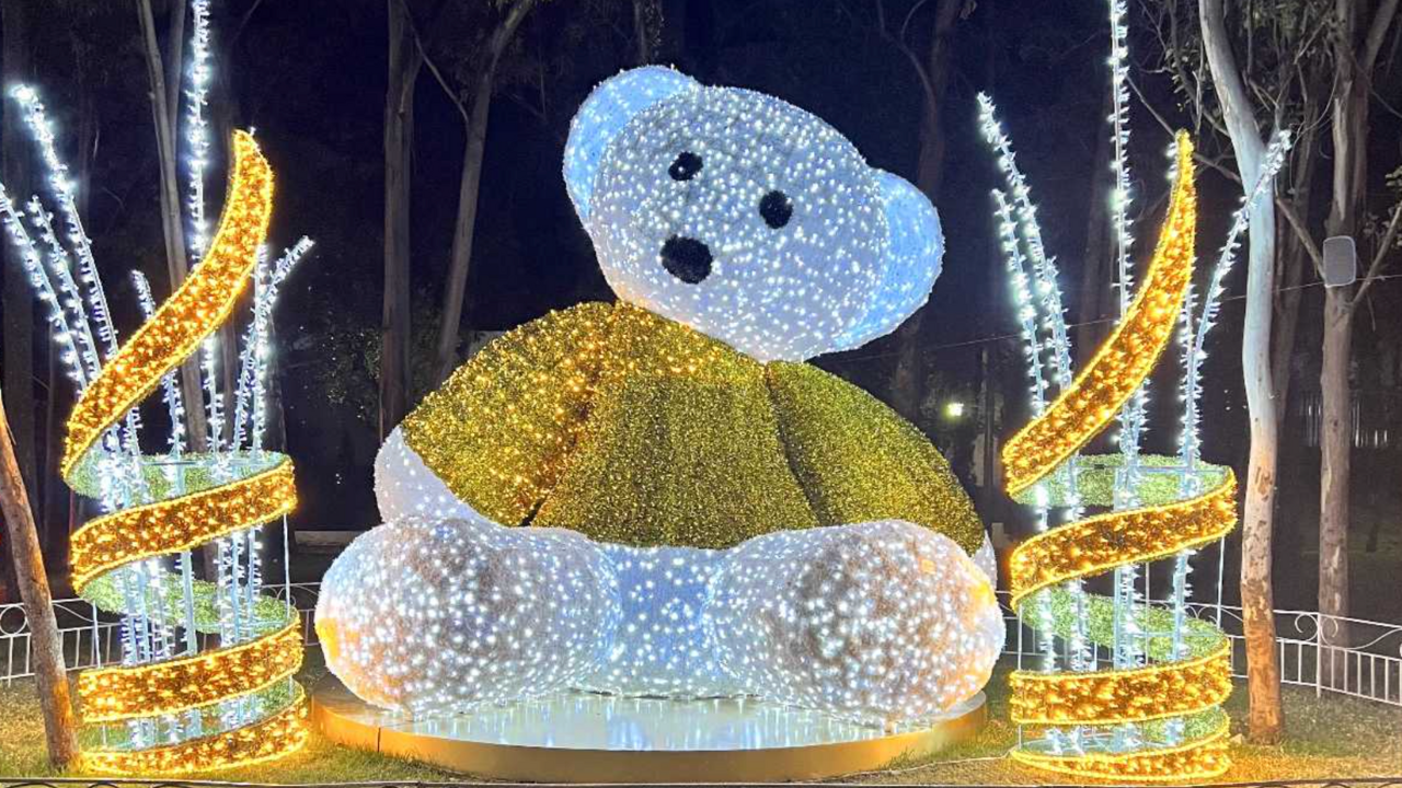 Es una ocasión perfecta para familias, paseos de amigos o una experiencia especial de fin de año.