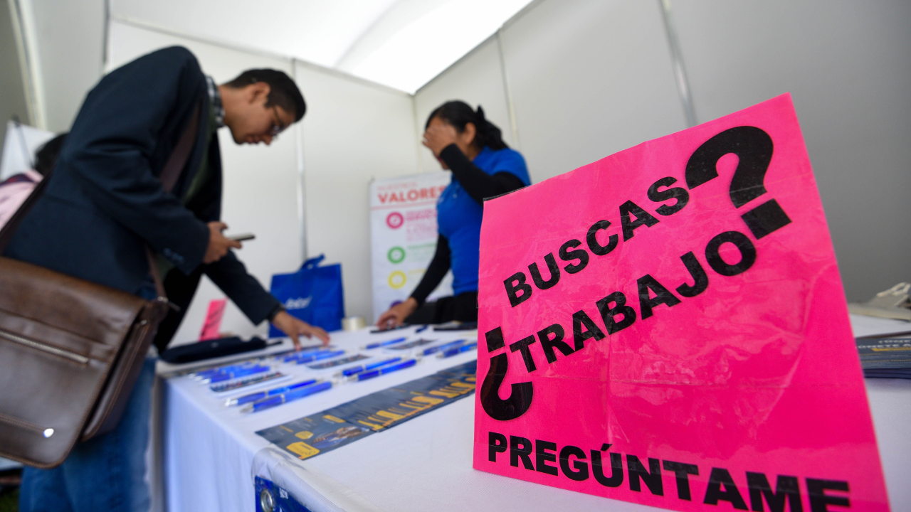 La Ciudad de México cuenta con un programa de Seguro de Desempleo que brinda apoyo económico temporal.